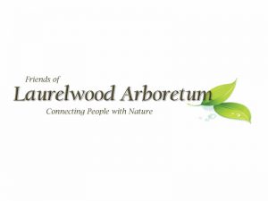 Banner Featured Image