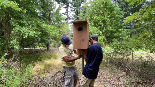 Photo of Duck Box being installed