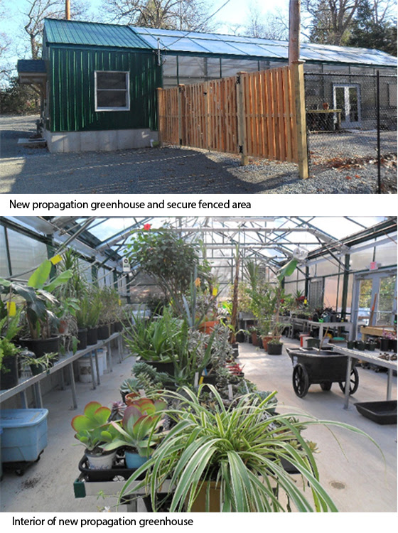 New Propagation Greenhouse