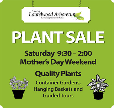 Plant Sale Sign