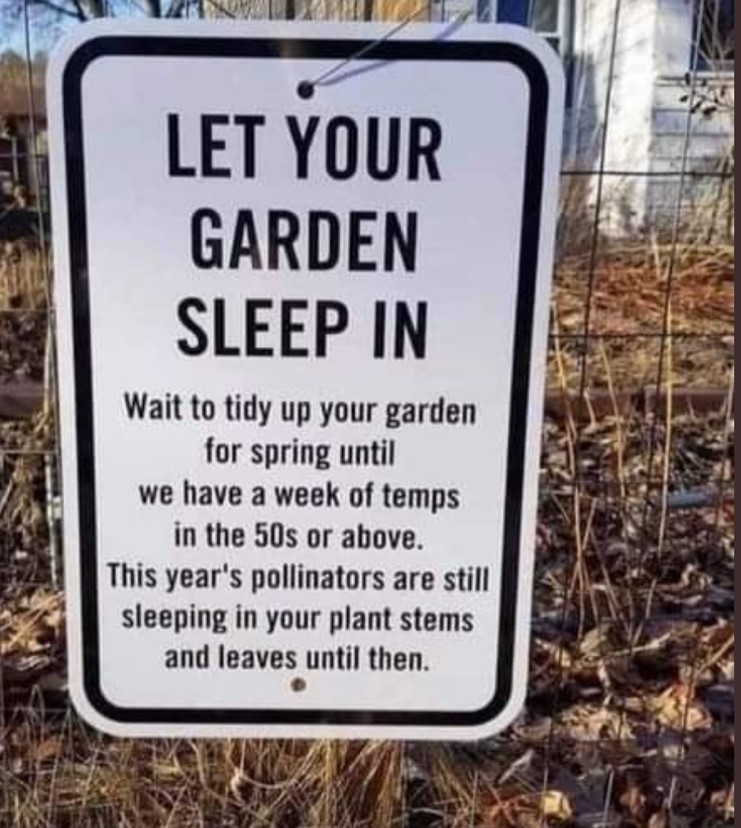 Let your garden sleep in