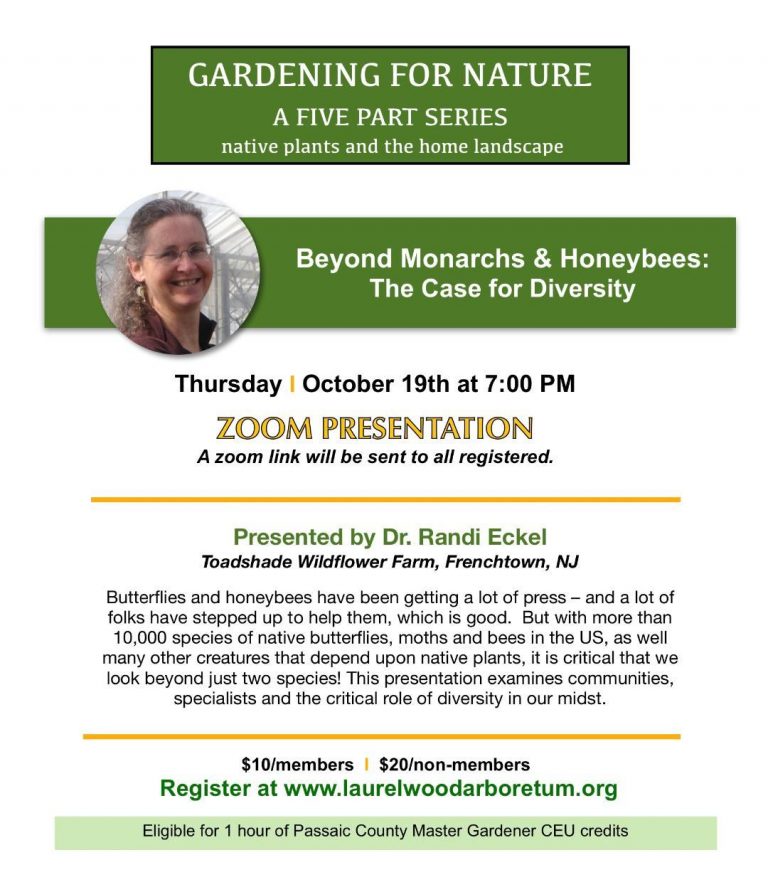 Gardening For Nature Series - Monarchs & Honeybees @ Zoom Presentation