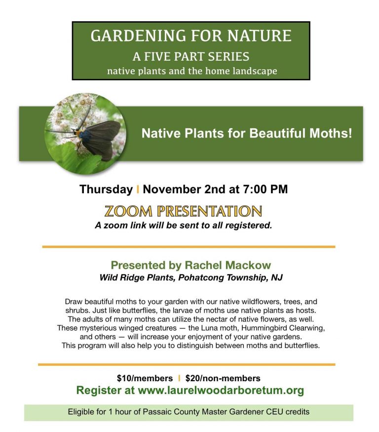 Gardening For Nature Series - Native Plants for Beautiful Moths @ Zoom Presentation