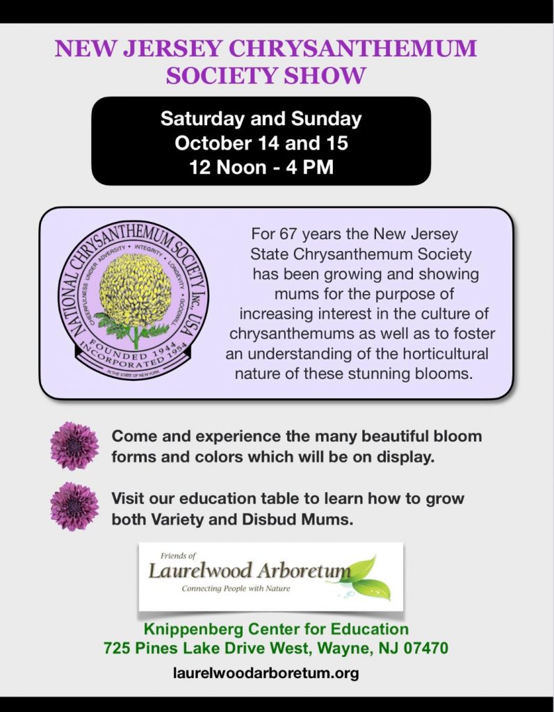 NJ Chrysanthemum Society Show - October 14 - 15  12-4pm @ Knippenberg Center for Education – Laurelwood Arboretum