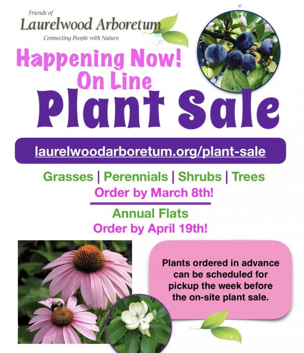 Online Plant Sale
