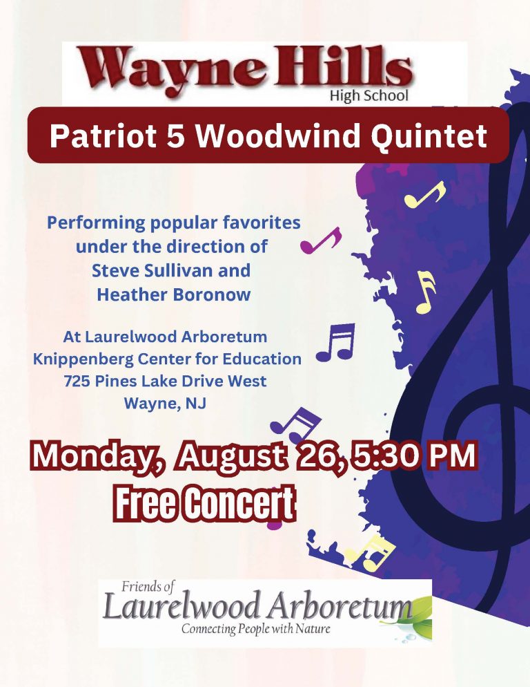 Patriot 5 Concert flyer