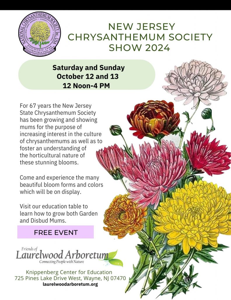 Chrysanthemum Show Flyer