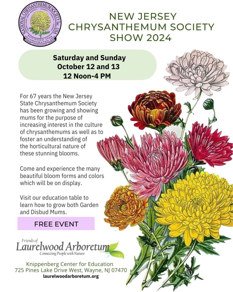 Chrysanthemum Show Flyer