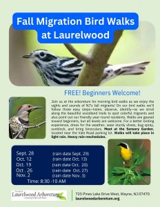 Fall Bird Walks Flyer