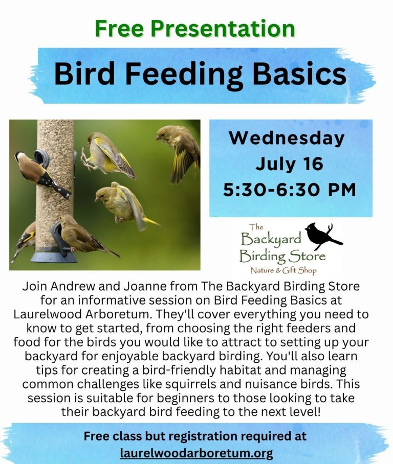 Bird Feeding Basics