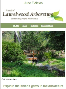 June 2025 E-News