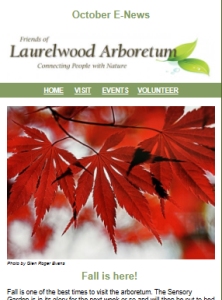 October 2025 E-News