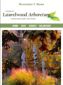 November 2025 E-News