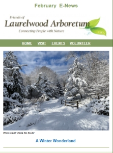 February 2026 E-News