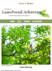 June 2026 E-News