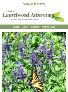 August 2026 E-News