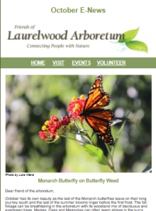 October 2026 E-News