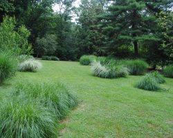 The Grass Garden